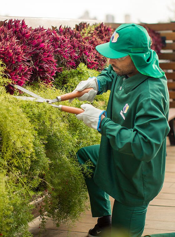 Outros Facilities Souza Lima